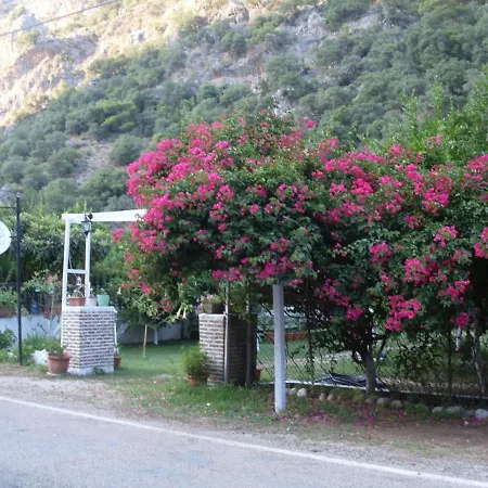 Village de vacances Narcicegi Çıralı