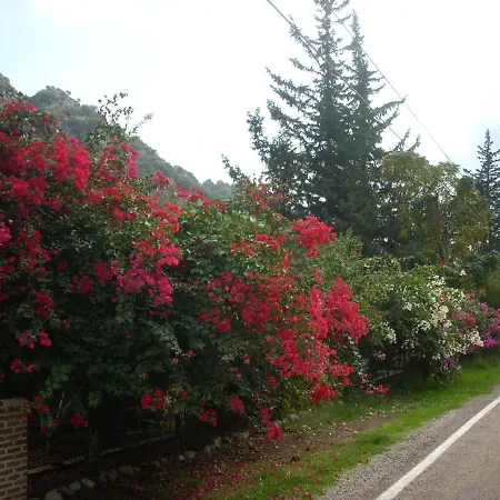 Narcicegi Village de vacances