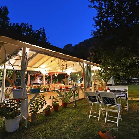 Narcicegi Village de vacances Çıralı