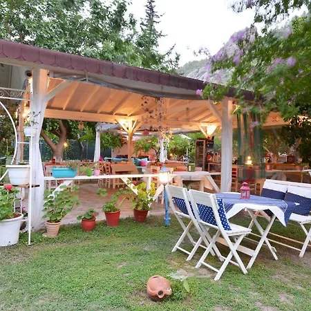 Village de vacances Narcicegi Çıralı
