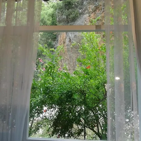 Village de vacances Narcicegi Çıralı