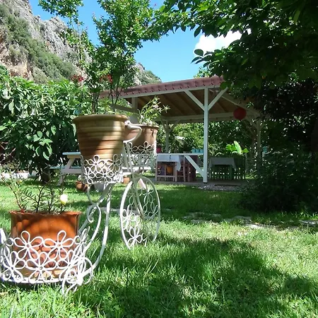 Village de vacances Narcicegi