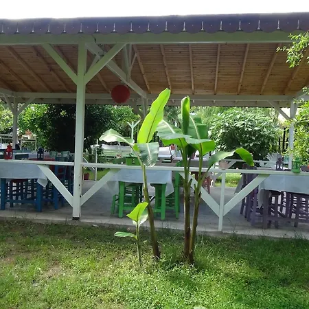 Village de vacances Narcicegi Çıralı